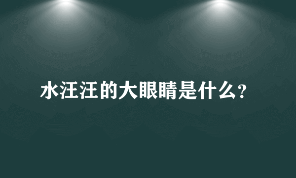 水汪汪的大眼睛是什么？