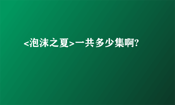 <泡沫之夏>一共多少集啊?