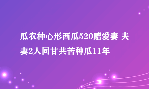 瓜农种心形西瓜520赠爱妻 夫妻2人同甘共苦种瓜11年