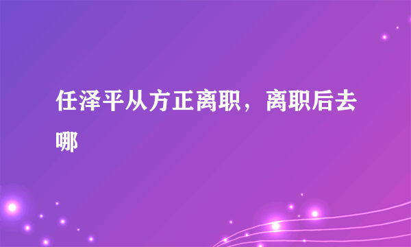 任泽平从方正离职，离职后去哪