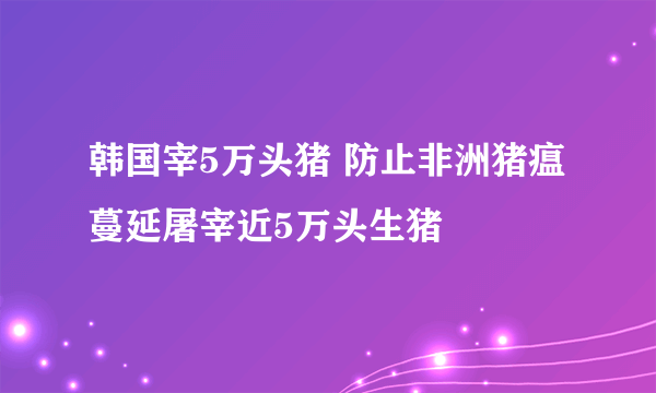 韩国宰5万头猪 防止非洲猪瘟蔓延屠宰近5万头生猪