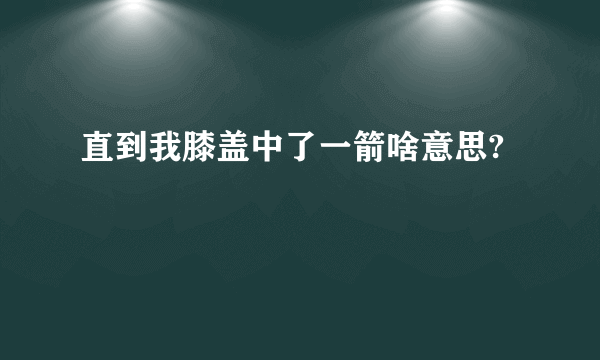 直到我膝盖中了一箭啥意思?