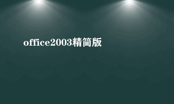 office2003精简版