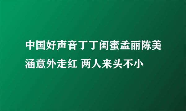 中国好声音丁丁闺蜜孟丽陈美涵意外走红 两人来头不小