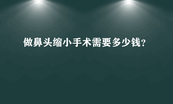 做鼻头缩小手术需要多少钱？