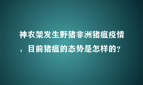 神农架发生野猪非洲猪瘟疫情，目前猪瘟的态势是怎样的？