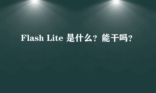 Flash Lite 是什么？能干吗？