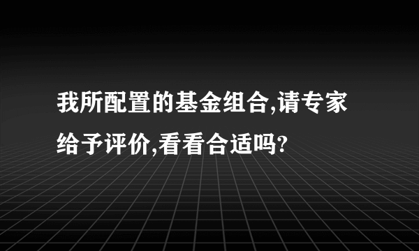 我所配置的基金组合,请专家给予评价,看看合适吗?