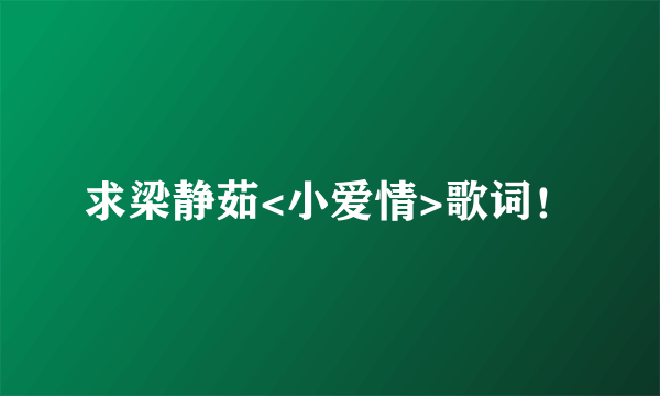 求梁静茹<小爱情>歌词！