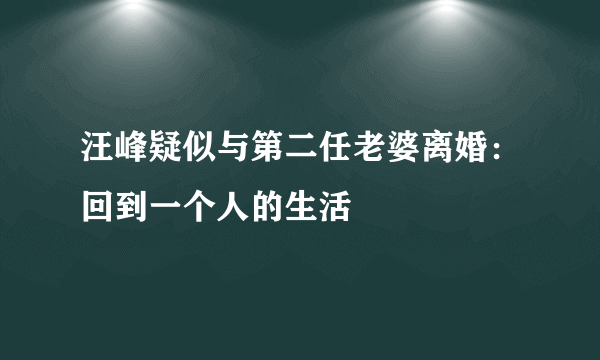 汪峰疑似与第二任老婆离婚：回到一个人的生活