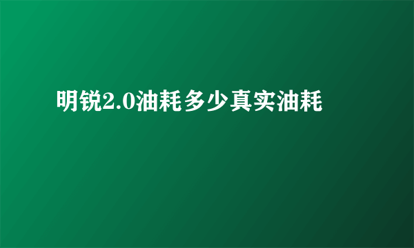 明锐2.0油耗多少真实油耗