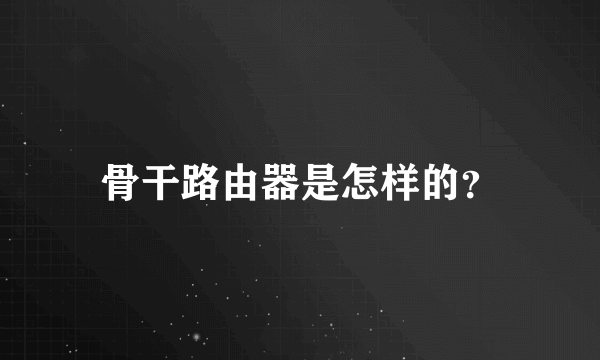 骨干路由器是怎样的？