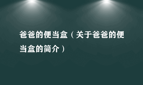 爸爸的便当盒（关于爸爸的便当盒的简介）