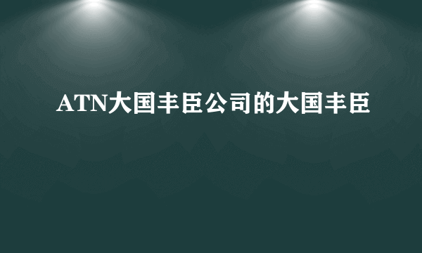 ATN大国丰臣公司的大国丰臣