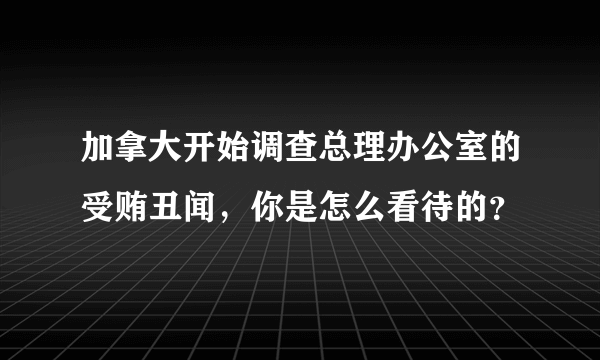 加拿大开始调查总理办公室的受贿丑闻，你是怎么看待的？