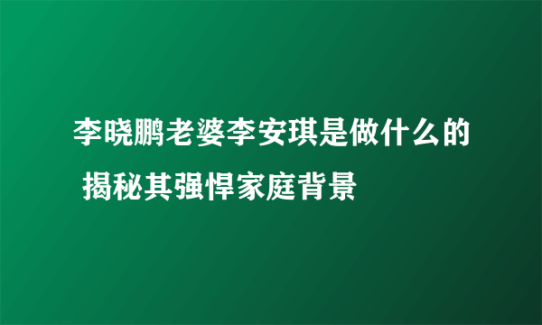 李晓鹏老婆李安琪是做什么的 揭秘其强悍家庭背景