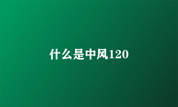 什么是中风120