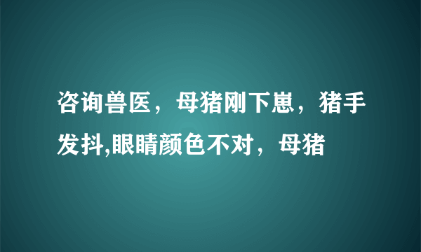 咨询兽医，母猪刚下崽，猪手发抖,眼睛颜色不对，母猪