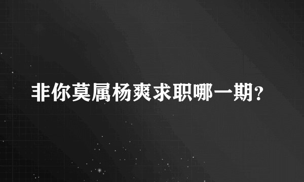 非你莫属杨爽求职哪一期？