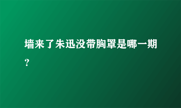 墙来了朱迅没带胸罩是哪一期？