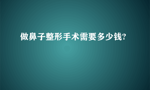 做鼻子整形手术需要多少钱?