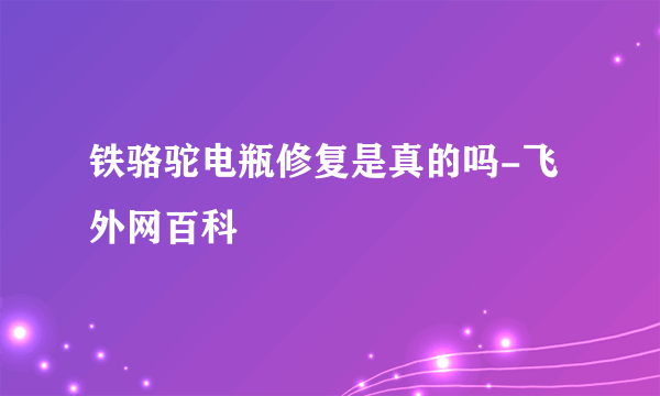 铁骆驼电瓶修复是真的吗-飞外网百科