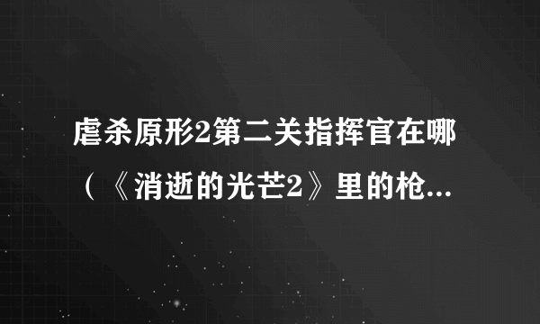 虐杀原形2第二关指挥官在哪（《消逝的光芒2》里的枪去哪了）