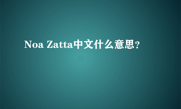 Noa Zatta中文什么意思？