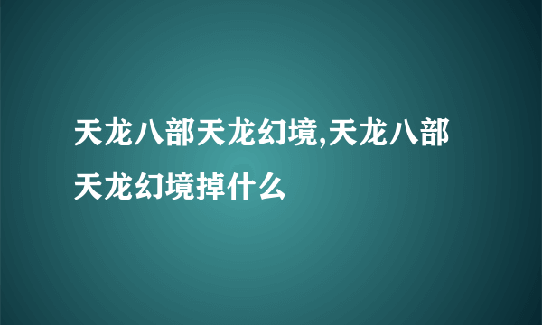 天龙八部天龙幻境,天龙八部天龙幻境掉什么