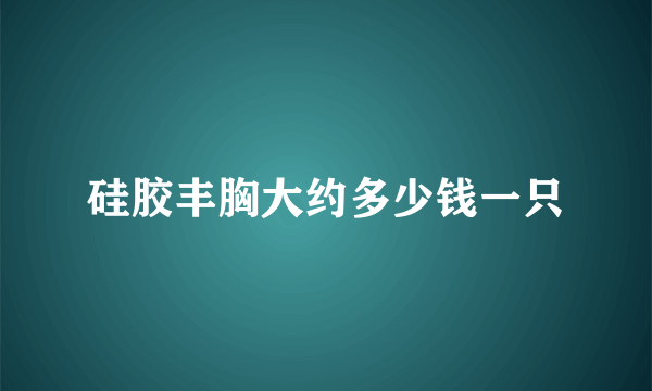 硅胶丰胸大约多少钱一只