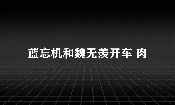 蓝忘机和魏无羡开车 肉