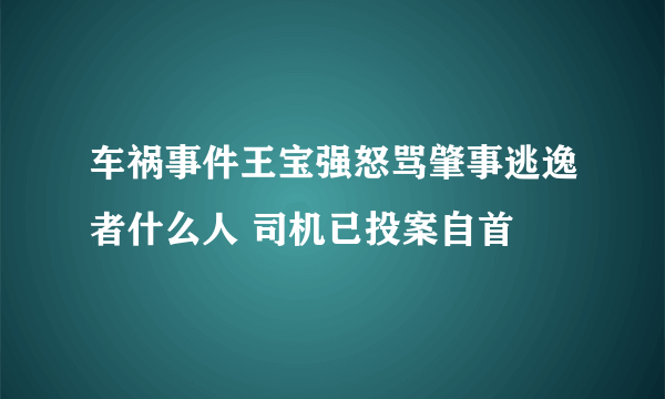 车祸事件王宝强怒骂肇事逃逸者什么人 司机已投案自首