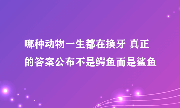 哪种动物一生都在换牙 真正的答案公布不是鳄鱼而是鲨鱼