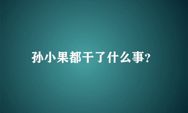 孙小果都干了什么事？