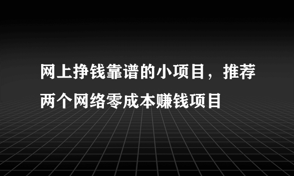 网上挣钱靠谱的小项目，推荐两个网络零成本赚钱项目