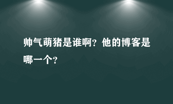 帅气萌猪是谁啊？他的博客是哪一个？