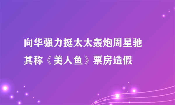 向华强力挺太太轰炮周星驰 其称《美人鱼》票房造假