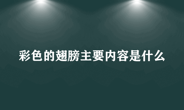 彩色的翅膀主要内容是什么