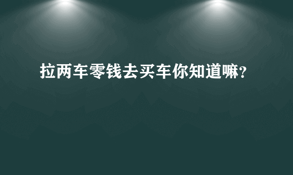 拉两车零钱去买车你知道嘛？