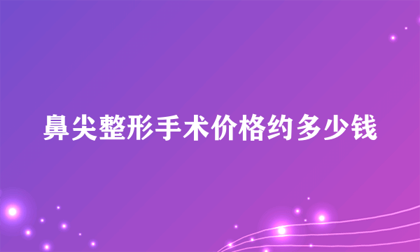 鼻尖整形手术价格约多少钱