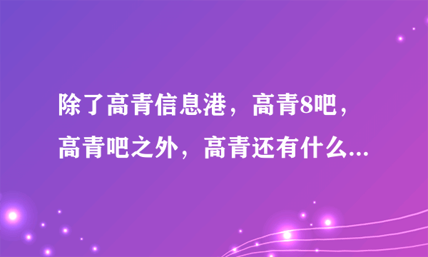 除了高青信息港，高青8吧，高青吧之外，高青还有什么有实力的网站？