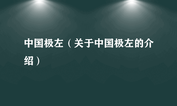 中国极左（关于中国极左的介绍）