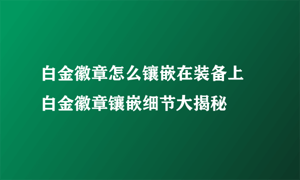 白金徽章怎么镶嵌在装备上 白金徽章镶嵌细节大揭秘