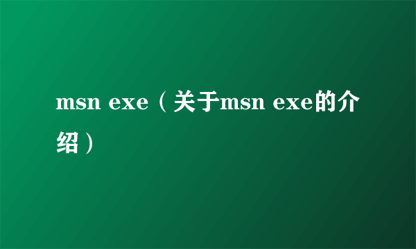 msn exe（关于msn exe的介绍）