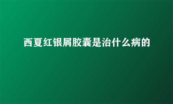 西夏红银屑胶囊是治什么病的