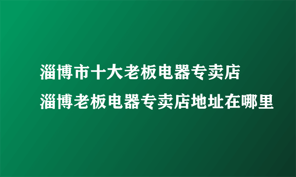 淄博市十大老板电器专卖店 淄博老板电器专卖店地址在哪里