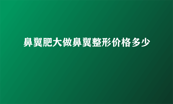 鼻翼肥大做鼻翼整形价格多少