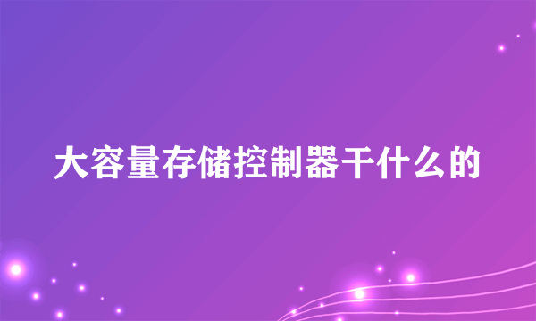 大容量存储控制器干什么的