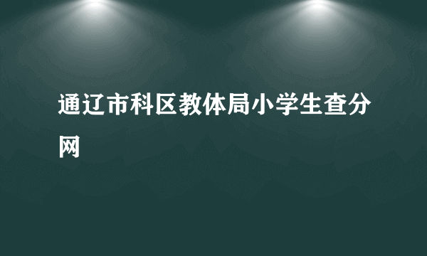 通辽市科区教体局小学生查分网