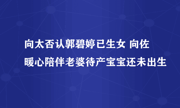 向太否认郭碧婷已生女 向佐暖心陪伴老婆待产宝宝还未出生